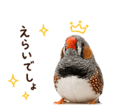 838676347