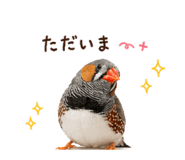 838676355