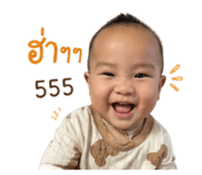 838678026