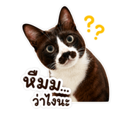 838678860