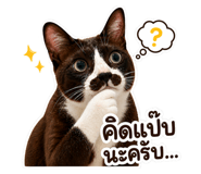 838678863