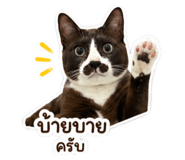 838678870