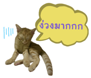 838679669
