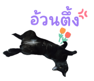 838679680