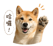 838680380