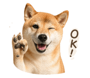 838680383