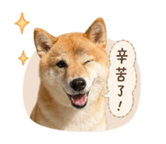838680386