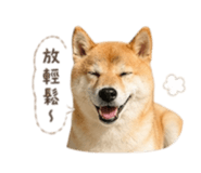 838680396