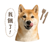 838680400