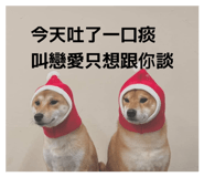 838680465