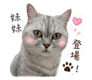 838680641