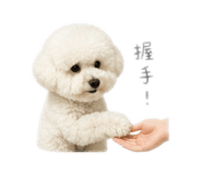 838681138