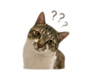 838681558