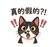 838682507