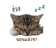 838682791