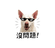 838684238