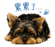 838684803