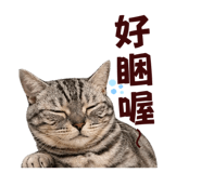 838685412