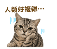 838685423