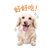 838685512