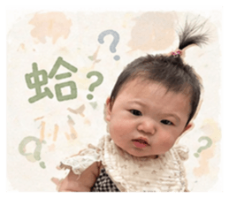 838686517