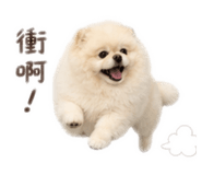 838688808