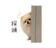 838688809