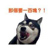 838694925