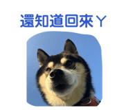 838694929