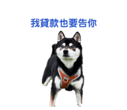 838694935