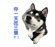 838694938