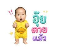 838696160