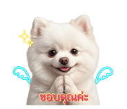 838696681