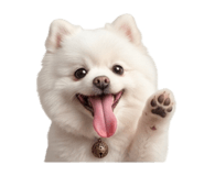 838696683