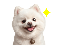 838696685