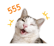 838696984