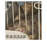 838698425