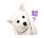 838698858