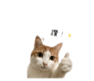 838699384