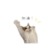 838699385