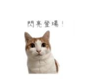 838699388