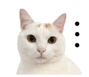 838699937