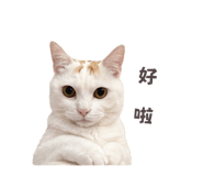 838699941