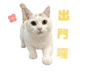 838699943