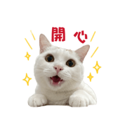 838699944