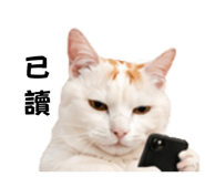 838699947