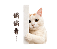 838699949