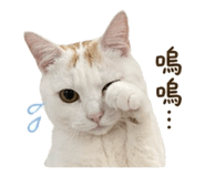 838699951