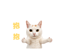 838699953
