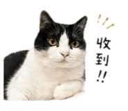 838699982